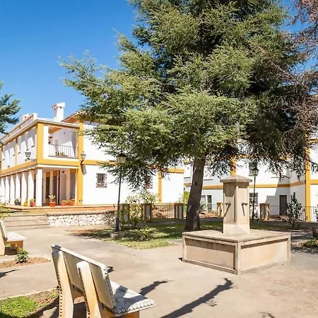 Toque Andaluz Zarzas Muntanya la Sella